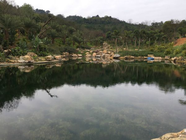 我公司承建的青秀山兰园景观湖水质改善与生态修复工程顺利通过竣工验收